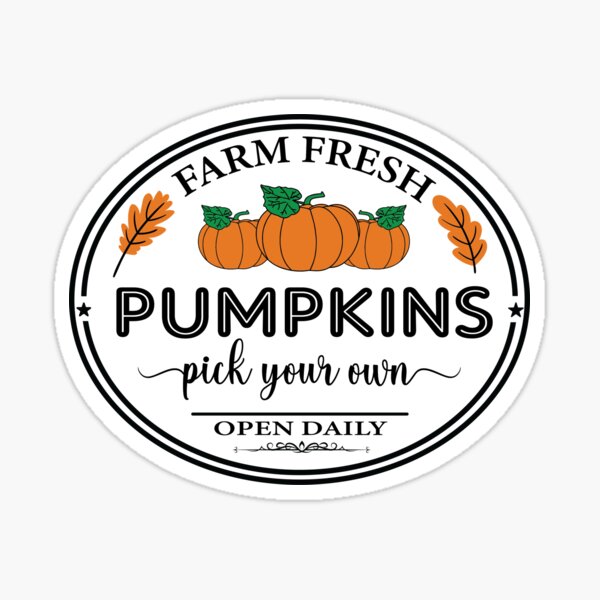 Farmers Market Fresh Pumpkins Open Daily Pillow Cover Farmhouse