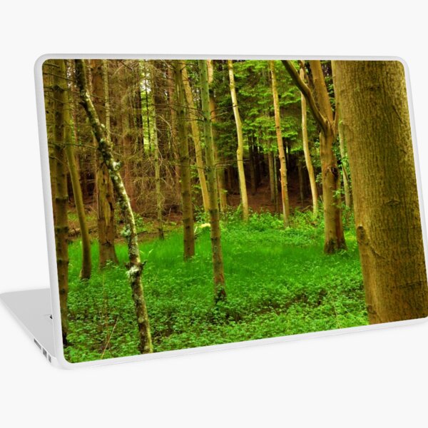 Wood #5 Laptop Skin