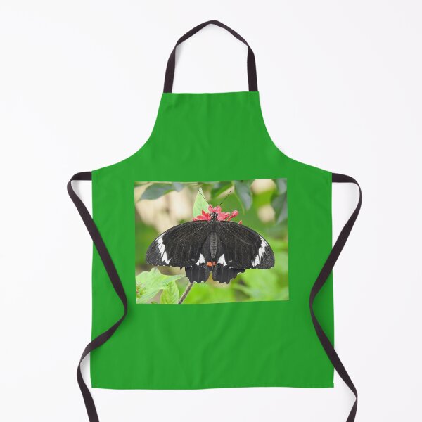 Item preview, Orchard Swallowtail Butterfly designed and sold by Dragonsfield.