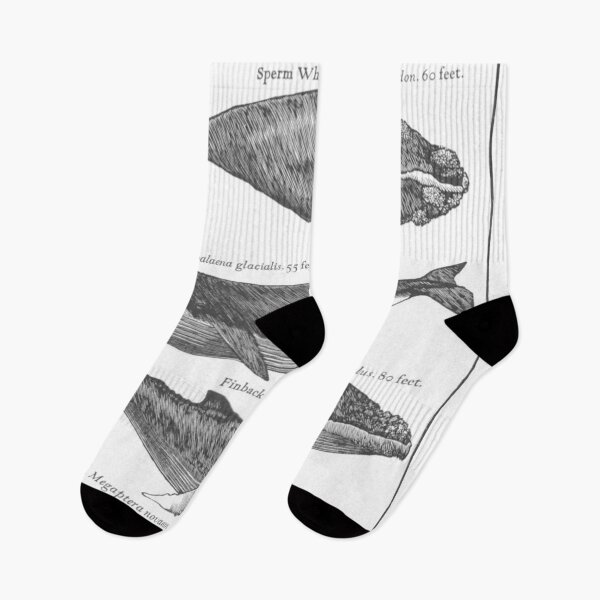Item preview, Whales designed and sold by HorusStudio.