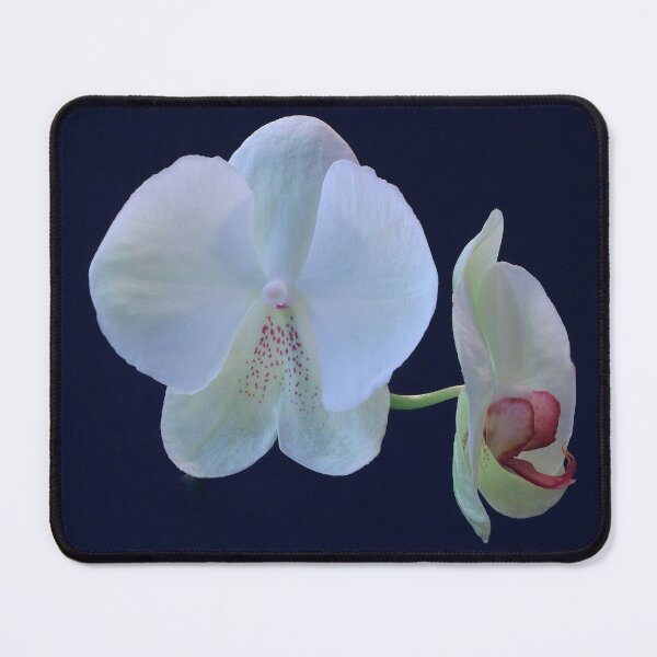 Vista previa del artículo con la obra «Rara orquídea única en su clase», diseñado y vendido por TonyMayoArt.
