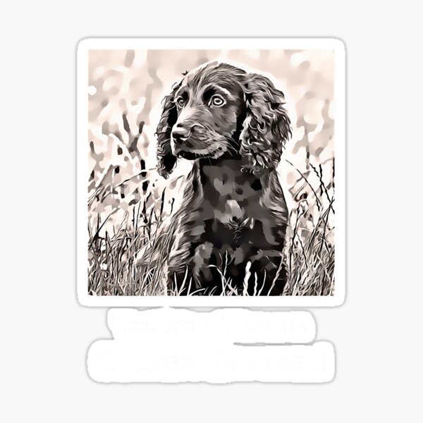 Black working outlet cocker spaniel gifts