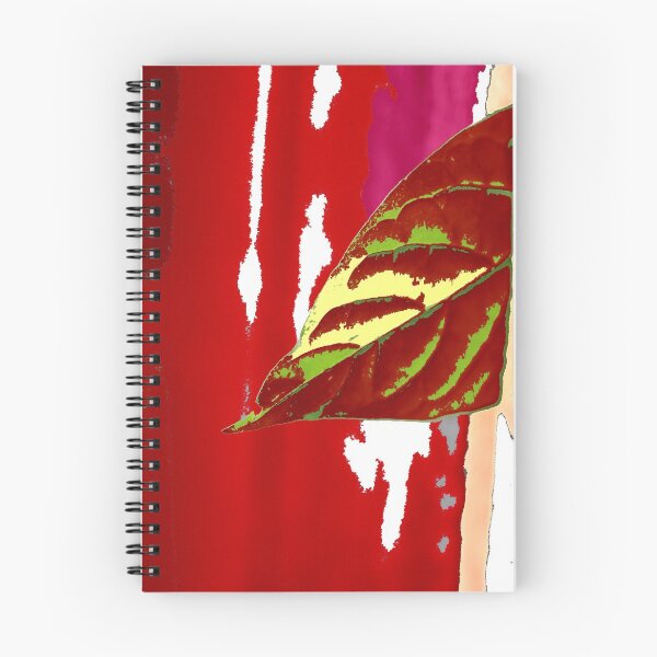 Item preview, photo effect  designed and sold by Jodie Cooper.