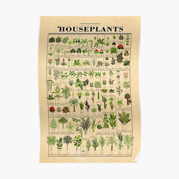 "The Horticultural Chart Of Houseplants Poster" Poster For Sale By ...