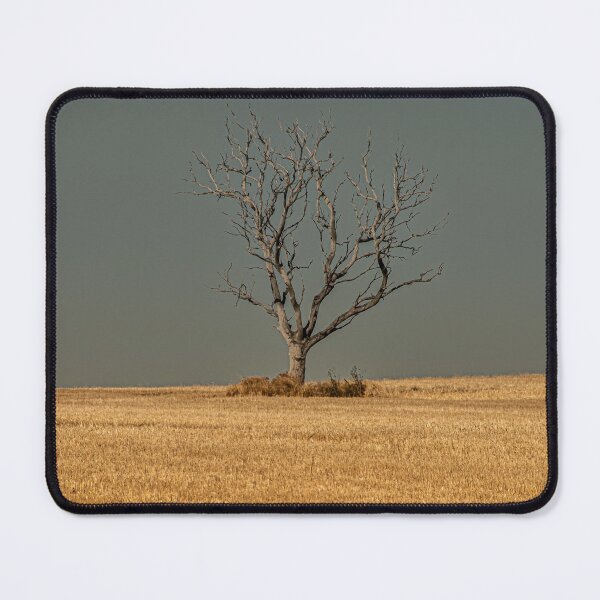 Item preview, Lone Tree designed and sold by Penny Heighes.