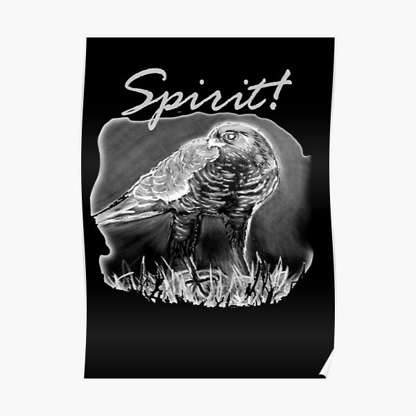 Spirit! Poster