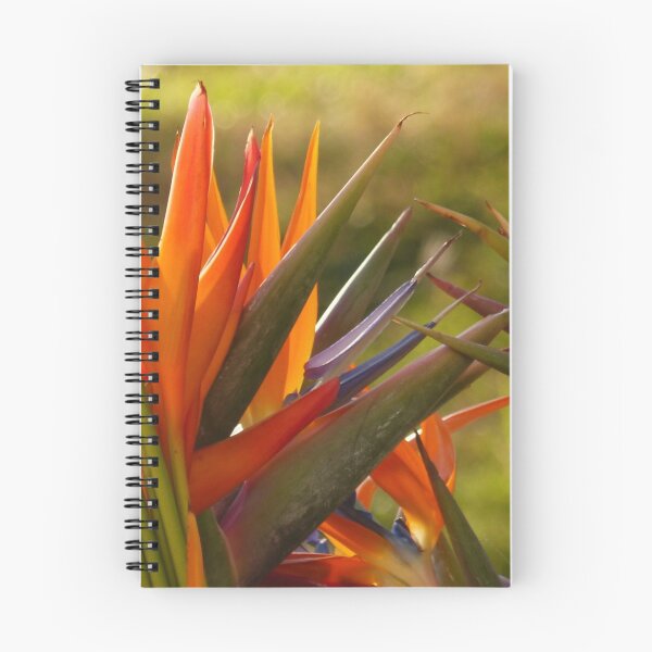 Item preview, estructuras coloridas designed and sold by Bernhard Matejka.