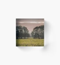Early Winter in Phoenix Park Acrylic Block
