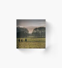 Early Winter in Phoenix Park Acrylic Block
