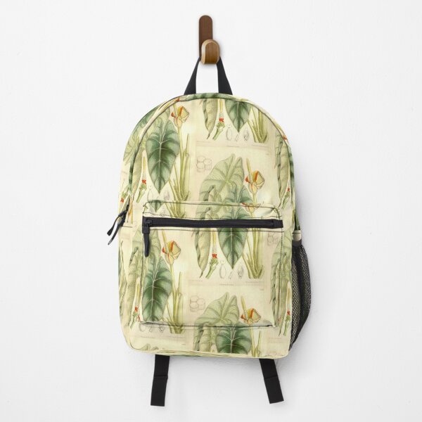 Item preview, Alocasia reversa - Botanical Illustration designed and sold by chimakingthings.