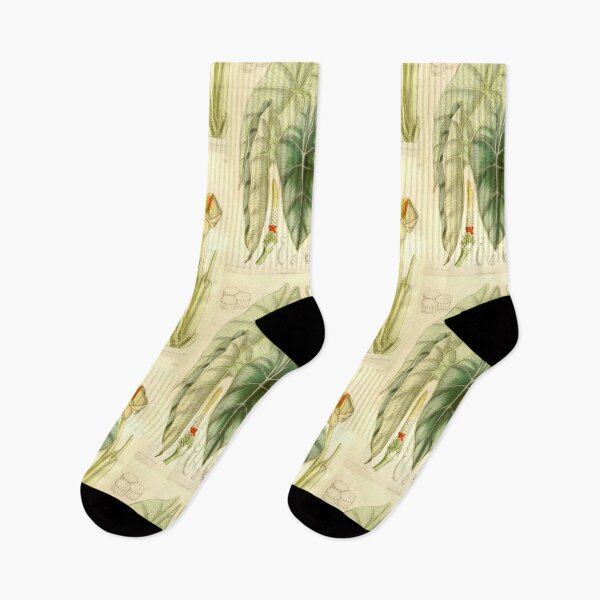 Item preview, Alocasia reversa - Botanical Illustration designed and sold by chimakingthings.