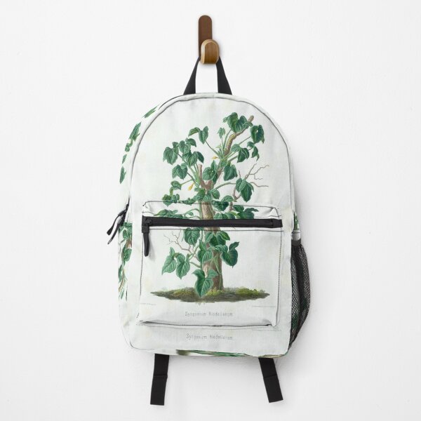 Item preview, Mature Syngonium podophyllum - Aroideae Maximilianae - Botanical Illustration designed and sold by chimakingthings.