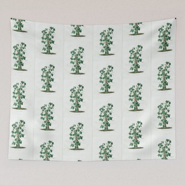 Item preview, Mature Syngonium podophyllum - Aroideae Maximilianae - Botanical Illustration designed and sold by chimakingthings.