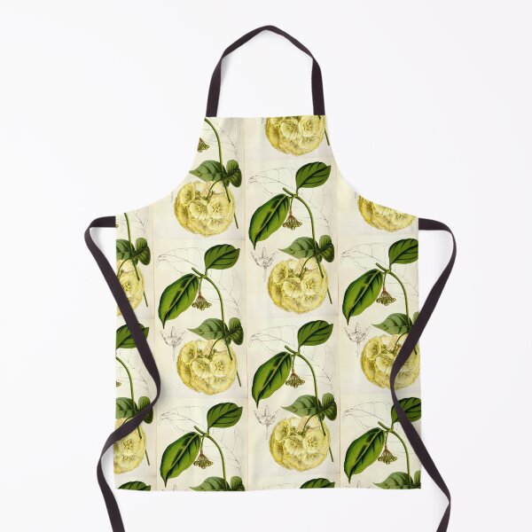 Item preview, Hoya campanulata - botanical illustration designed and sold by chimakingthings.