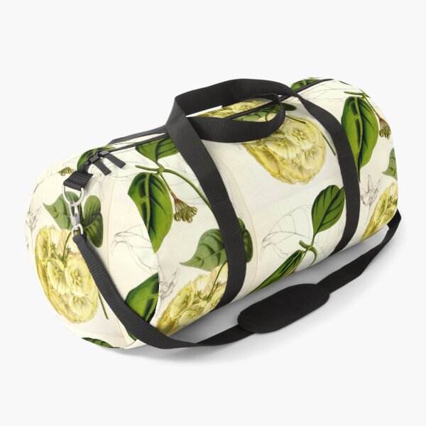 Item preview, Hoya campanulata - botanical illustration designed and sold by chimakingthings.