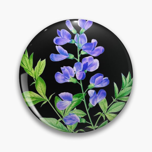 Item preview, Blue False Indigo - Botanical Illustration designed and sold by chimakingthings.