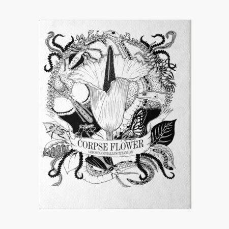Item preview, Corpse Flower (Amorphophallus Titanum) designed and sold by FlippingZombies.