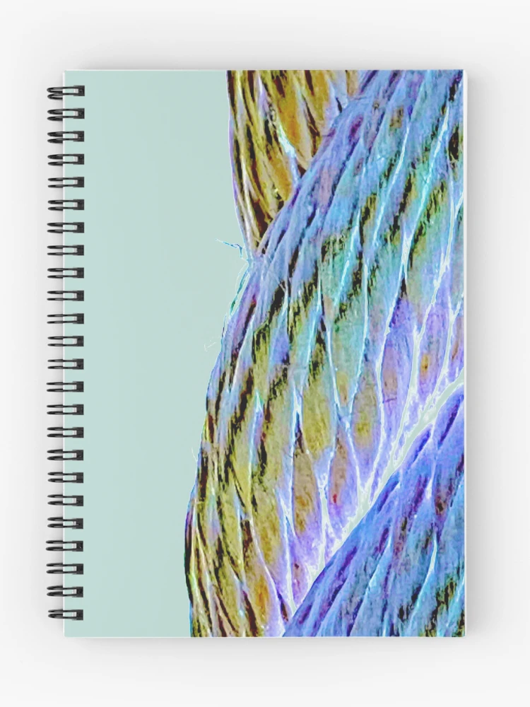 Thumbnail 1 of 3, Journal, Psychedelic Rope designed and sold by Fishotopia.