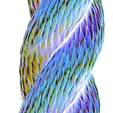Artwork thumbnail, Psychedelic Rope by Fishotopia