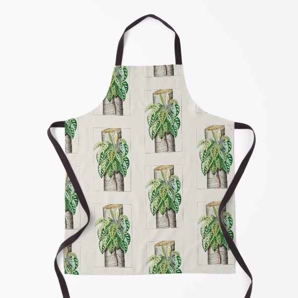 Item preview, Mature Monstera adansonii var adansonii - botanical illustration designed and sold by chimakingthings.