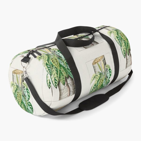 Item preview, Mature Monstera adansonii var adansonii - botanical illustration designed and sold by chimakingthings.