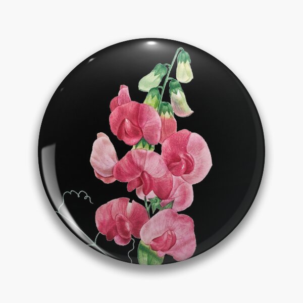 Item preview, Everlasting Pea - Botanical Illustration designed and sold by chimakingthings.
