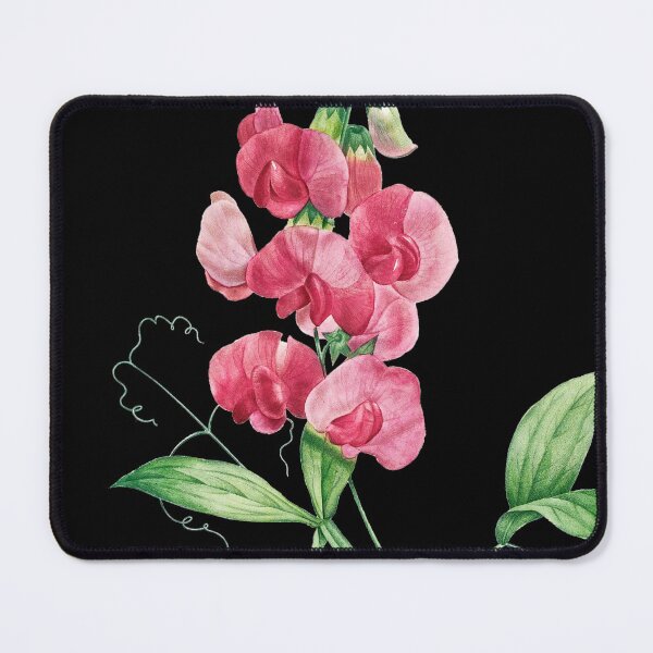 Item preview, Everlasting Pea - Botanical Illustration designed and sold by chimakingthings.
