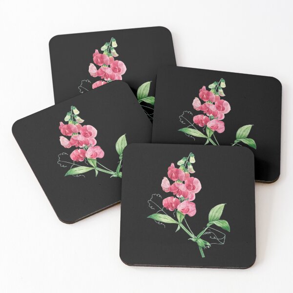 Item preview, Everlasting Pea - Botanical Illustration designed and sold by chimakingthings.