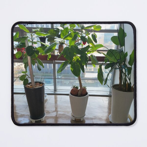 Item preview, three flowerpot designed and sold by fosterahope.