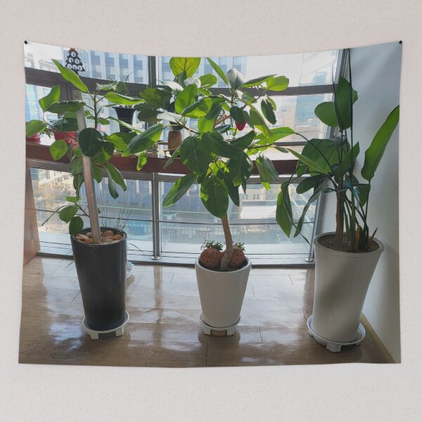 Item preview, three flowerpot designed and sold by fosterahope.