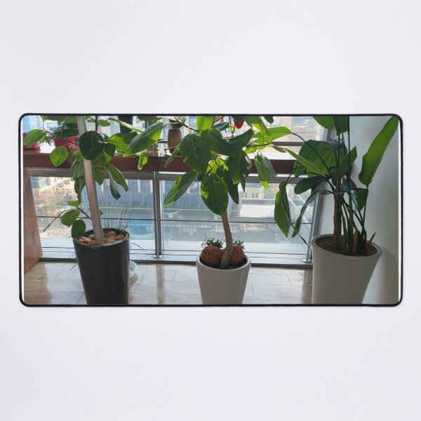 Item preview, three flowerpot designed and sold by fosterahope.