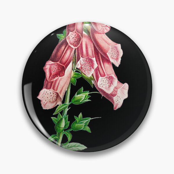Item preview, Common foxglove - Botanical Illustration designed and sold by chimakingthings.