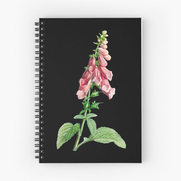 Item preview, Common foxglove - Botanical Illustration designed and sold by chimakingthings.