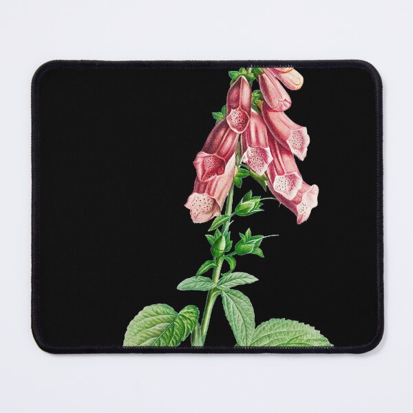 Item preview, Common foxglove - Botanical Illustration designed and sold by chimakingthings.