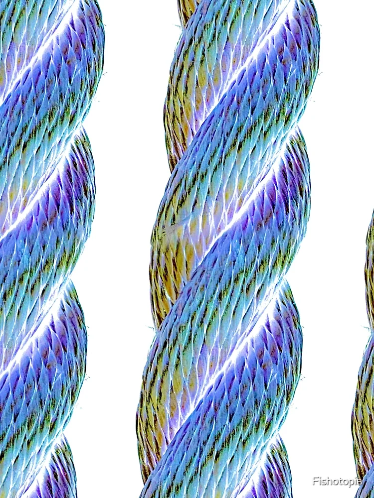 Thumbnail 5 of 5, A-Line Dress, Psychedelic Rope designed and sold by Fishotopia.
