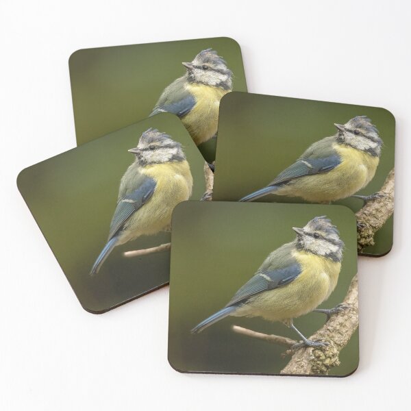 Item preview, Blue tit designed and sold by JLP ARTWORKS.