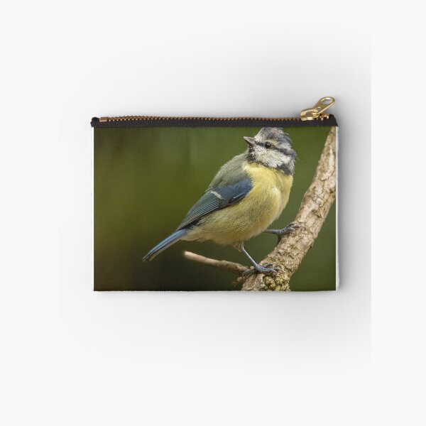 Item preview, Blue tit designed and sold by JLP ARTWORKS.