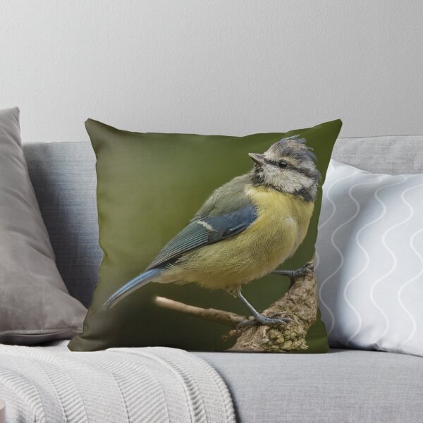 Item preview, Blue tit designed and sold by JLP ARTWORKS.