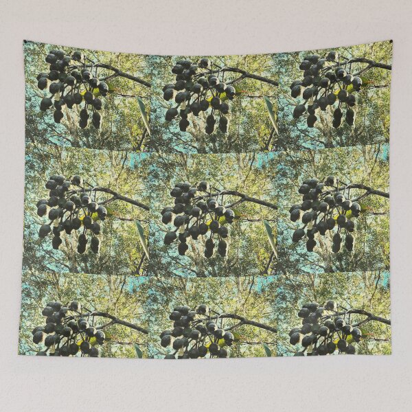Item preview, Eucalyptus Gumnuts Willoughby, New South Wales designed and sold by WanderTravels.