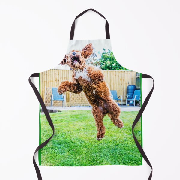 Item preview, Crazy Cockapoo Puppy designed and sold by Paul Thompson Photography.