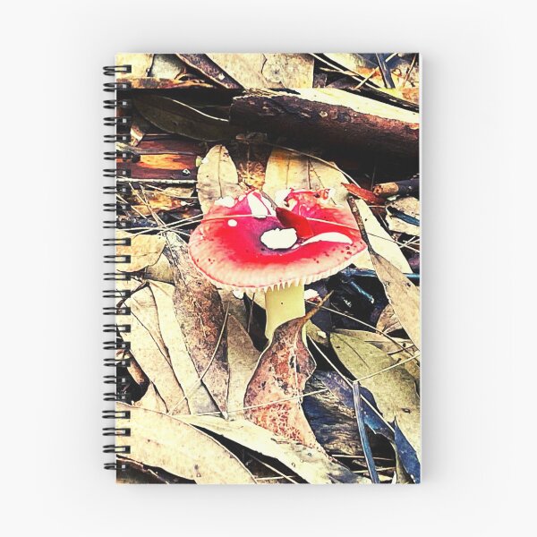 Item preview, Wild Mushrooms, Davidson Park, Sydney Australia designed and sold by WanderTravels.