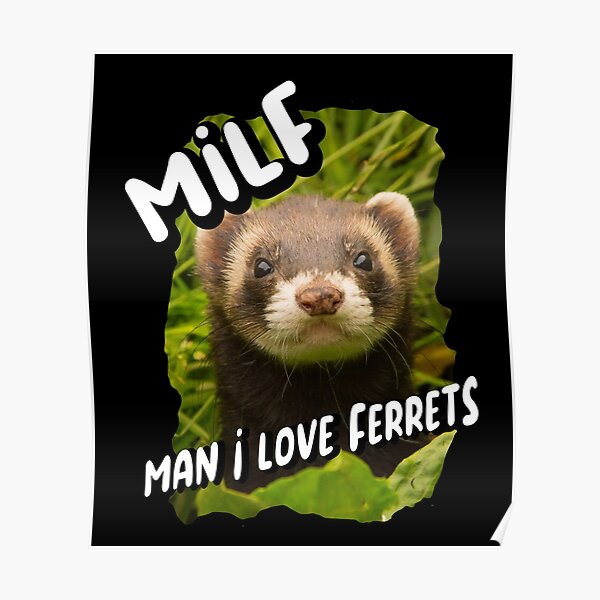 FERRET #3 A4 GLOSS POSTER PRINT LAMINATED 11"x8.3"