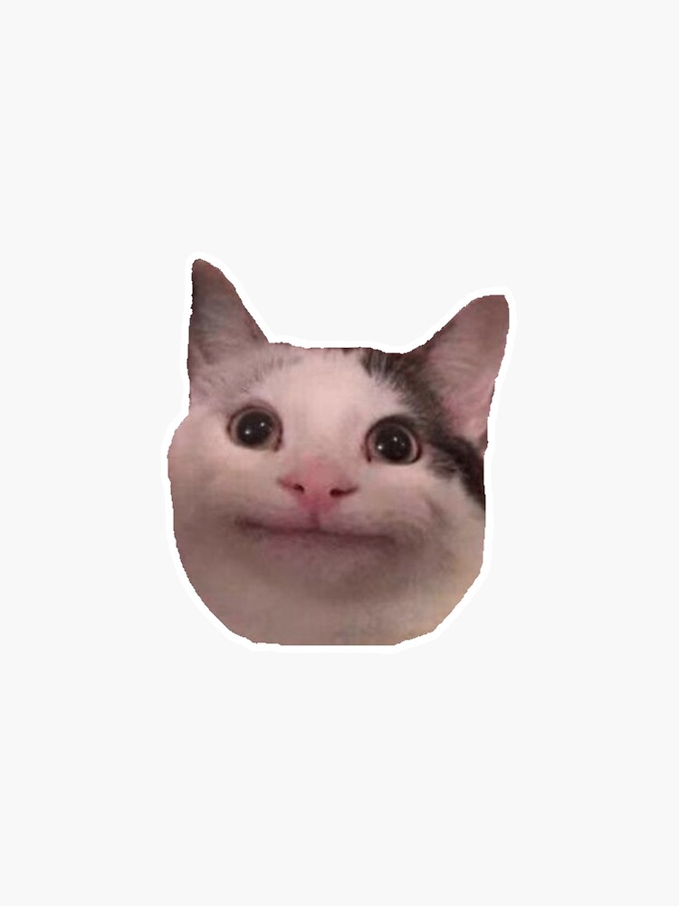 Beluga Cat Meme Emotes 