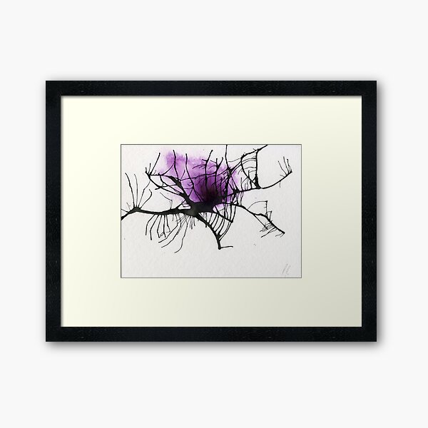 Spiders web Framed Art Print