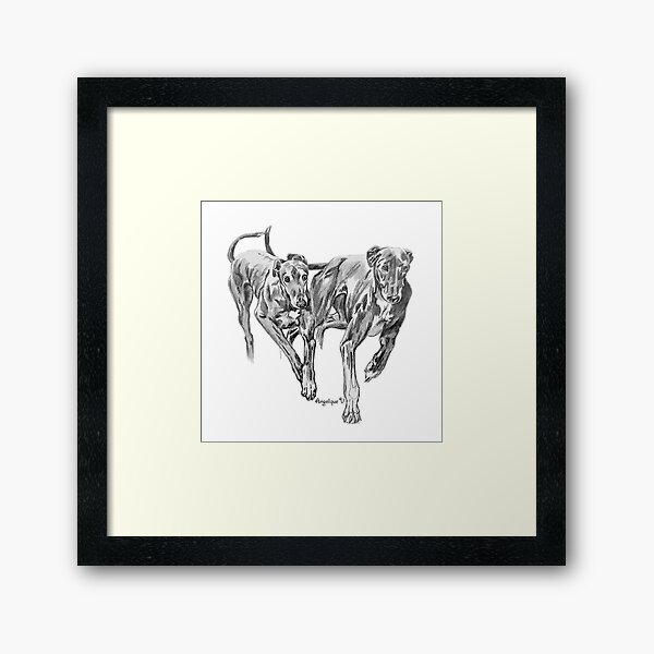Galgo's run for fun Framed Art Print