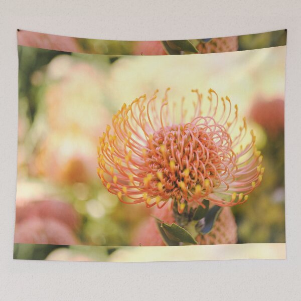Item preview, Nature's Beautiful Nodding Pincushion - Leucospermum cordifolia designed and sold by imaginethis.