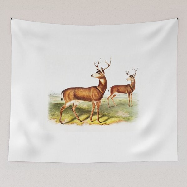 Item preview, Columbian Black-Tailed Deer - James Audubon, Deer T-Shirt, North American Buck Wilderness designed and sold by Abderrahim Bguiguir.