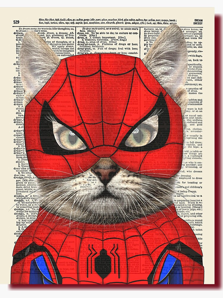 spidercat shirt