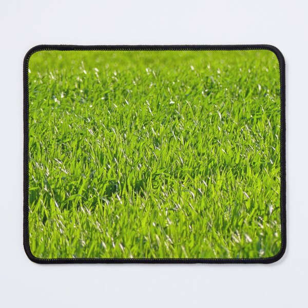 Item preview, Young wheat field in spring designed and sold by mary02.