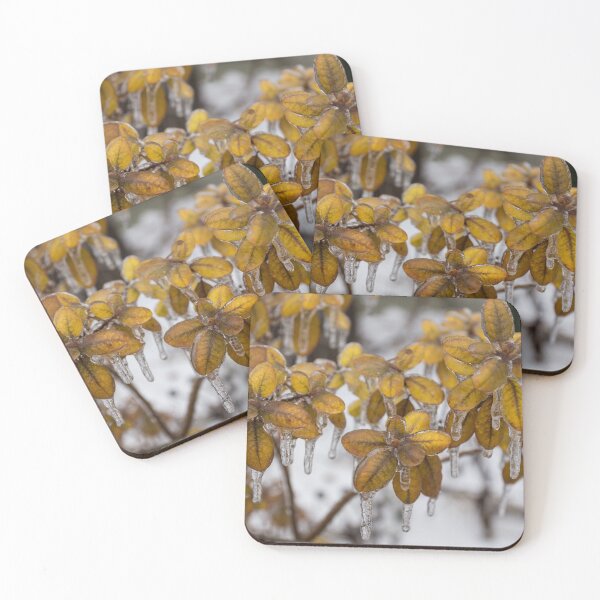 Item preview, Ice Storm Aftermath - Frozen Azalea Leaves  designed and sold by Georgia Mizuleva.